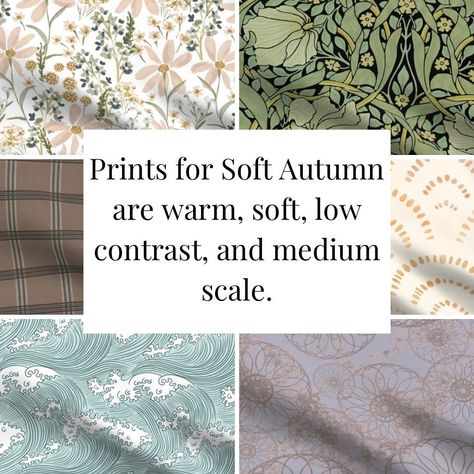 SOFT AUTUMN 🍁🌞 Fun facts: 🍁Soft autumn is a neutral season leaning warm 🍁One of the more common seasons at 9% of the North American population 🍁The lowest contrast warm season 🍁A personal favorite to diagnose 😬 Want to learn more about Soft Autumn (or any season)? Comment “EXPLORE” to get the link. #coloranalysis #coloranalyst #coloranalysisautumn #softautumn #softautumnpalette #softautumncolors #softseason #colouranalysis #colouranalysisworks #colouranalysisonline #seasonalcoloranalysis Soft Autumn Pantone, Soft Autumn Korean, Soft Autumn Examples, Soft Autumn Color Season, Soft Autumn Clothes, Soft Autumn Aesthetic, Soft Autumn Palette, Soft Autumn Color Palette, Autumn Soft