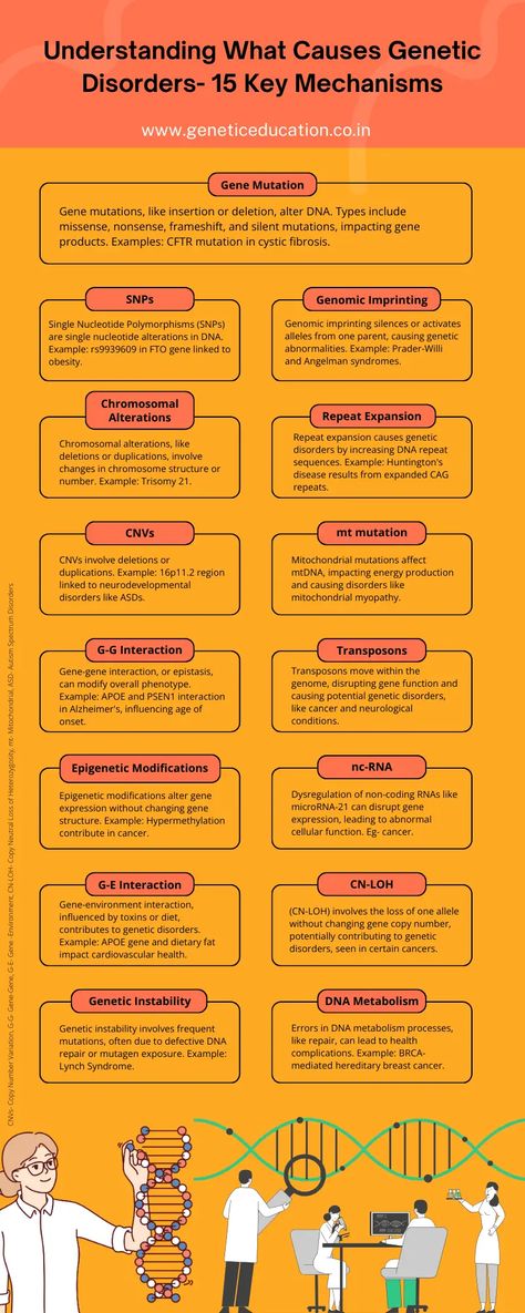 New article alert! want to know how various genetic disorders occur? Check out this article: #genetics #geneticdisorder #GeneticEducation #geneticdisease Genetic Diseases, Genetic Disorders, Genetic, Study Notes, Key, Education, Quick Saves