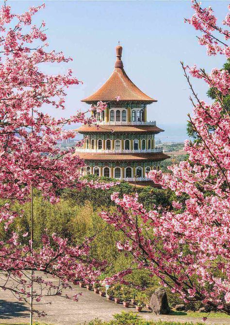 Wuji Tianyuan Temple: Taipei's Best Cherry Blossom Spot | Hoponworld Asia Beautiful Places, Taiwan Cherry Blossom, Taipei Taiwan Aesthetic, Taipei Aesthetic, Cherry Blossom China, China Blossom, Taiwan Aesthetic, Pretty Places To Travel, China Places