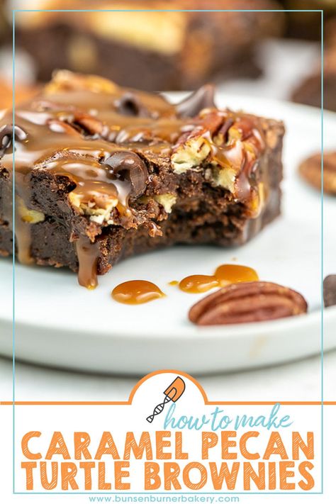 Caramel Pecan Brownies Recipe, Salted Caramel Pecan Brownies, Caramel Topped Brownies, Homemade Turtle Brownies, Caramel Walnut Brownies, Turtle Brownies From Scratch, Desert Catering, Thanksgiving Desserts Brownies, Ultimate Fudgy Brownies