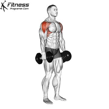 Dumbbell Lateral Raise 1 Dumbbell Lateral Raise, Shoulder Workout Routine, Free Workout Plans, Best Shoulder Workout, Workout Program Gym, Full Body Workout Routine, Workout Training Programs, Workout Routines For Beginners, Workout Planner