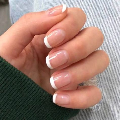 Short white French tips Cute Fake Nails Acrylic Square False Nails Ongles Rose Pastel, Ongles Gel French, French Tip Gel Nails, Short French Tip Nails, White Tip Nails, Nails Glossy, Short Fake Nails, French Tip Nail Designs, French Tip Acrylic Nails