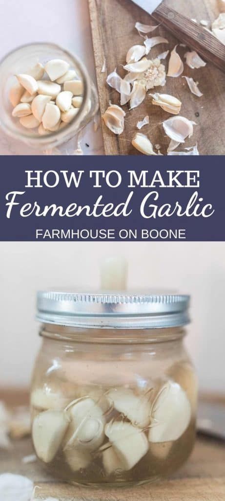 Fermented Garlic, Farmhouse On Boone, Apple Pie Recipe Homemade, Lacto Fermented, Fermented Veggies, Healthy Probiotics, Fermentation Recipes, Egg Recipes For Breakfast, Homemade Breakfast