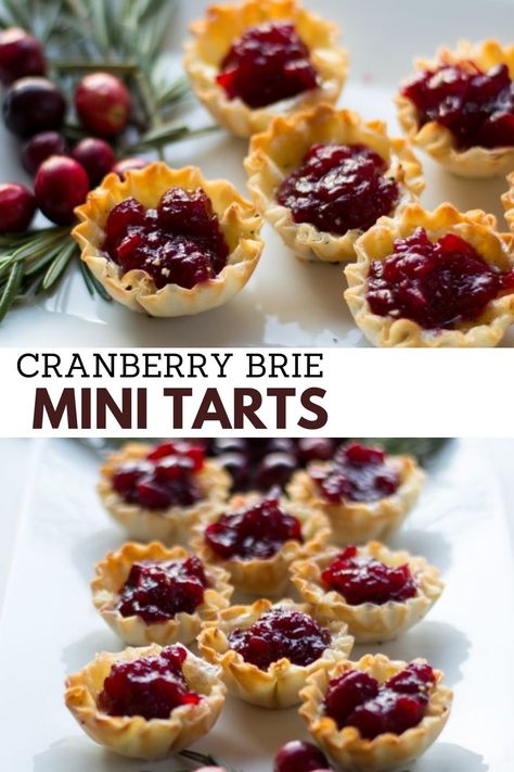 Goat Cheese Bites, Cranberry Goat Cheese, Brie Cranberry, Cranberry Tart, Goat Cheese Appetizer, Cranberry Brie, Mini Tarts, Bourbon Tasting, Brie Bites