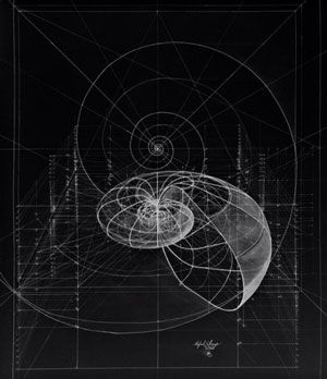 FRITJOF CAPRA ON SCIENCE AND SPIRITUALITY Robert Boyle, Logarithmic Spiral, Spirals In Nature, Mathematics Geometry, Golden Spiral, Geometric Nature, Fibonacci Sequence, Fibonacci Spiral, Sacred Architecture