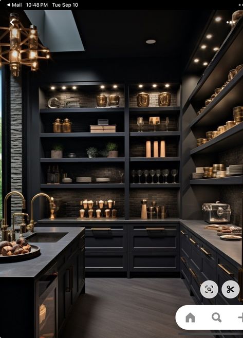 Dream Pantry Walk In, Walk In Pantry Ideas, Apartment Nyc, Dream Pantry, House Pantry, Kitchen 2024, Pantry Remodel, Kitchen Pantry Design, Carpentry Diy