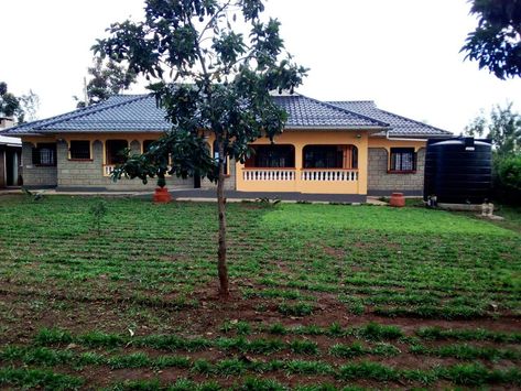 Kenyan Houses, Bungalow, Tree Trunk, Cabin, House Styles, Home Decor, Home Décor