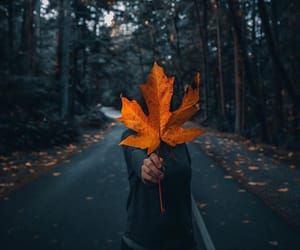 Imagen de boy, freedom, and goal Acer Rubrum, Autumn Witch, Insta Pics, Halloween Photoshoot, Cool Wallpapers Cartoon, Lost Girl, Fall Is Here, Autumn Vibes, Autumn Aesthetic