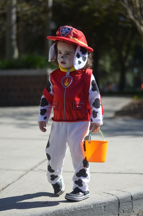 Marshal Costume Paw Patrol, Paw Patrol Costume Marshall, Marshall Paw Patrol Costume, Marshall Paw Patrol Birthday, Marshall Costume, Paw Patrol Costume, Childrens Halloween Costumes, Paw Patrol Birthday Theme, Paw Patrol Marshall