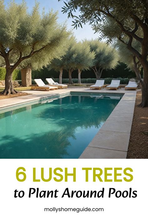 Enhance your pool area with the best trees for pool landscaping. Choosing the right trees to plant around pools can add beauty and privacy to your outdoor space. Discover the top options for pool-friendly trees that will thrive in your landscaping design. Create a relaxing oasis by incorporating these landscaping trees for pools. Explore different varieties of trees around pools to find the perfect fit for your pool area. Upgrade your outdoor paradise with these recommended trees to plant around Ornamental Pear Tree, Plants Around Pool, Cyprus Trees, Italian Cypress Trees, Pool Plants, Landscaping Trees, Pool Landscape, Planting Trees, Outdoor Paradise