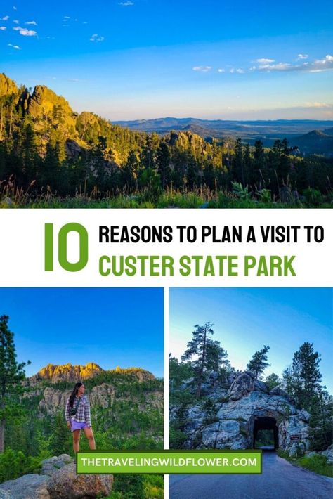 Must see views, hikes and activities in Custer State Park, SD- your ultimate travel guide Custer State Park South Dakota, Custer State Park, Travel South, Black Hills, 10 Reasons, South Dakota, Plan A, State Park, State Parks