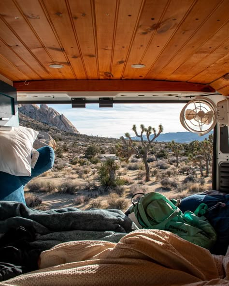 WHERE WE WENT WEDNESDAY 🚐: This past week we drive down through California to Joshua Tree. We met some really amazing members of the van life community and camped out with them. Then, we met up with our new friend @vann_marie_ to caravan to Baja Mexico 🇲🇽! We had a long weekend of driving, but we also experienced some of the most magical experiences. After arriving to camp, a man showed up and offered us fresh grouper he caught that day. Then, bioluminescence appeared in the sea and we... Van Life California, Camper Vans, That Day, Joshua Tree, Rock Climbing, Long Weekend, Van Life, New Friends, Caravan