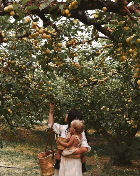 Traveling With Kids Aesthetic, Babymoon, Family Goals, Apple Tree, Vintage Vogue, Future Life, Future Kids, Country Life, Life Goals