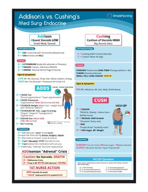 Endocrine simple nursing - nur101 - Studocu Simple Nursing Study Guides Endocrine, Simple Nursing Study Guides, Endocrine Nursing, Simple Nursing, Pass Your Exams, Medical Study, Better Grades, Nursing Study Guide, High Cortisol