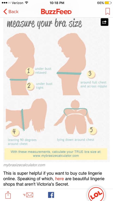 Different Cup Sizes, Cup Sizes, Breast Sizes Chart, Measure Bra Size, Bra Fitting Guide, Bra Size Calculator, Packing Hacks Clothes, Breast Workout, Bra Sewing