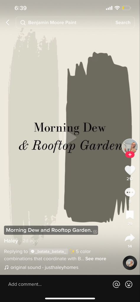 Rooftop Garden Benjamin Moore, Benjamin Moore Rooftop Garden, Morning Dew Benjamin Moore, Benjamin Moore Morning Dew, Morning Dew Paint Color, Rainy Afternoon Benjamin Moore Color Palette, Rainy Afternoon Benjamin Moore, Benjamin Moore Grenadier Pond, Morning Dew Color Palette