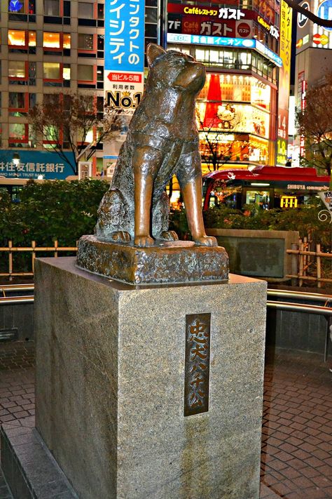 Hachiko Statue Shibuya, Hachiko Dog, Hachiko Statue, Unreal Places, Japanese Park, Famous Statues, Shibuya Station, A Dog's Tale, Asia Trip