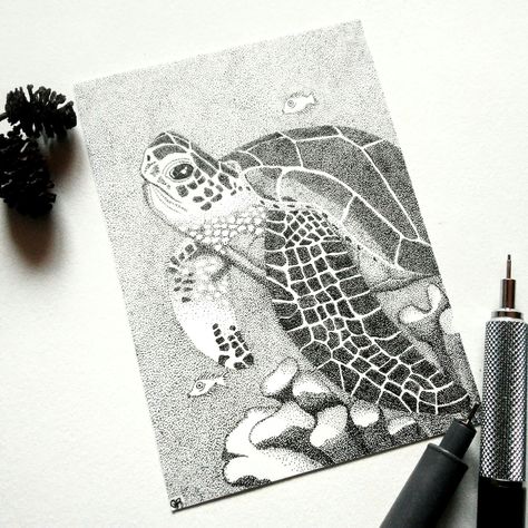 Kolaj Art, Stipple Drawing, Sea Turtle Drawing, Zebra Drawing, Mini Drawing, Turtle Drawing, Stippling Art, Sea Turtle Art, Nature Art Drawings