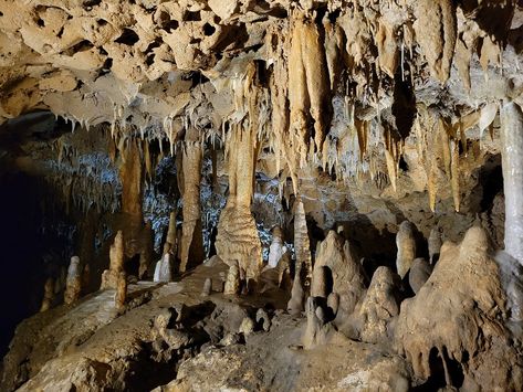 Florida Caverns State Park, Northern Florida, Cave Entrance, Mammoth Cave, Florida State Parks, Carlsbad Caverns, Cave Tours, Family Outings, Cave In