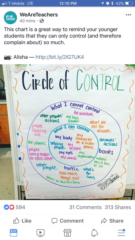 Control Worksheet, Circle Of Control, Social Emotional Activities, Social Emotional Learning Activities, Classroom Behavior Management, First Day Of School Activities, School Social Work, 4th Grade Classroom, 3rd Grade Classroom