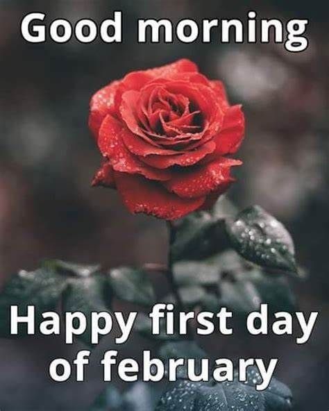 February 1st Happy Quote - Saferbrowser Image Search Results Good Morning February Quotes, First Day Of February Quotes, Good Morning February, Happy First Day Of February, First Day Of February, February Images, New Month Wishes, Welcome February, January Quotes