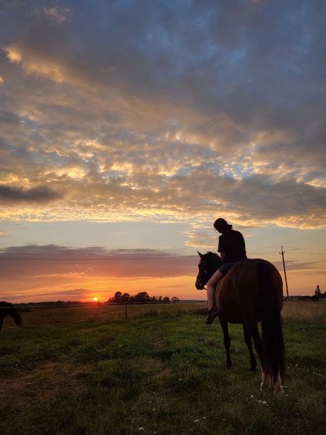 Pony Horse Riding Aesthetic, Country Sunset, Faster Horses, Spring Horse, Western Photo, Equestrian Aesthetic, Horse Riding Equestrian, Eventing Horses, Horse Wallpaper