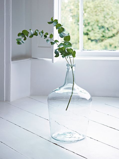 Shopper's Guide: Where to Buy Really, Really Big Vases Large Glass Vase Decor, Glass Vases Decor Ideas, Extra Large Vase, Glass Jug Vase, Glass Floor Vase, Large Glass Vase, Glass Vase Decor, Vase Ideas, Big Vases