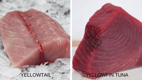 Yellowtail vs Yellowfin Tuna 1 Marinated Tuna Steak, Fish Benefits, Grilled Tuna Steaks, Ahi Tuna Steak, Tuna Steak Recipes, Tuna Fillet, Tuna Sashimi, Grilled Tuna, Fresh Tuna