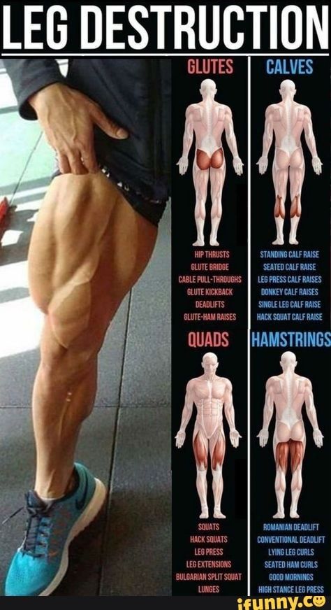 Bigger Legs, Ectomorph Workout, Workout Man, Gym Antrenmanları, Leg Training, Leg Day Workouts, Weight Training Workouts, Body Workout Plan, Workout Chart