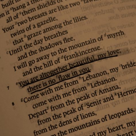 Song of Solomon 4:7 One of my favorite verses!! Solomon 1:16, Song Of Solomon 2:16, Song Of Solomon 4:7 Aesthetic, Song Of Solomon Aesthetic, Songs Of Songs Bible Verses, Song Of Songs 4:7 Tattoo, Song Of Solomon Verses, Songs Of Songs Bible, Song Of Solomon 6:3