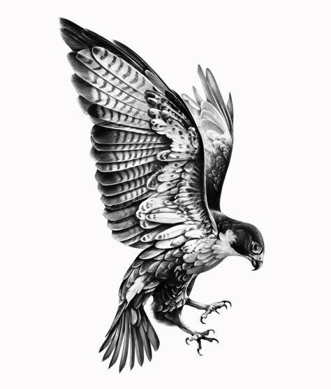 Maltese Falcon Tattoo, Falcon Flying Tattoo, Flying Falcon Tattoo, Bird Upper Arm Tattoo, Peregrin Falcon Tattoo, Traditional Falcon Tattoo, Nighthawk Tattoo, Falcon Tattoo Men, Eagle Sketch Tattoo