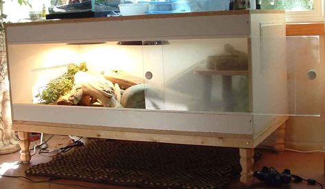 Lizard Enclosure, Snake Habitat, Diy Bearded Dragon Enclosure, Dragon Enclosure, Bearded Dragon Terrarium Ideas, Snake Cages, Diy Reptile, Bearded Dragon Diy, Bearded Dragon Terrarium