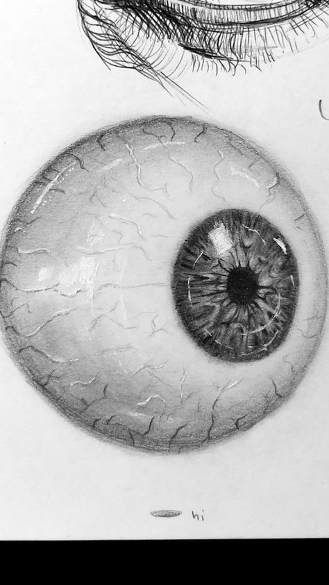 Eyeball Drawing Creepy Realistic, Eyeball Out Of Socket Drawing, Eyeball Anatomy Drawing, Eye Ball Drawing Realistic, Eye Out Of Socket Drawing, How To Draw An Eyeball, Eyeball Drawing Realistic, Eye Ball Drawings, Eye Balls Drawing