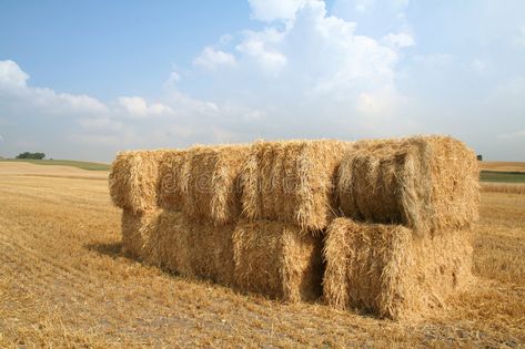 Bales of straw blue sky. Square bales of straw in field with blue summer sky. Ha , #spon, #sky, #Square, #blue, #Bales, #straw #ad Caravan Garden, Digital Design Trends, Straw Bales, Photography Jobs, Summer Sky, Harvest Time, Graphic Design Photography, Garden Furniture, Caravan