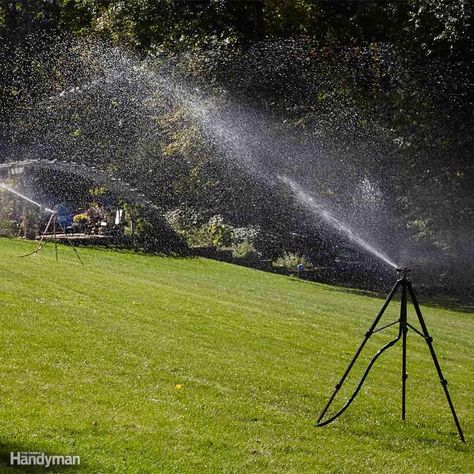 Run All Sprinklers at Once When Using Well Water Above Ground Sprinkler System, Common Lawn Weeds, Lawn Problems, Greener Grass, Growing Grass, Water Grass, Lawn Care Tips, Lush Lawn, Well Water