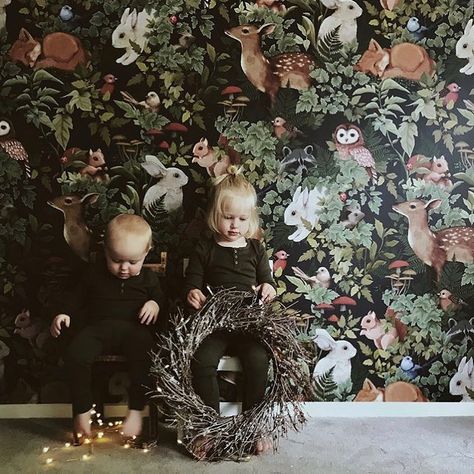 78 Likes, 2 Comments - Fleur Harris (@fleurharris) on Instagram: “So super thrilled that @sophie_vine has chosen my new ‘Woodlands’ wallpaper for @jimmycricketau to…” Jimmy Cricket, Fleur Harris, Interior Wood Trim, Vintage Woodland, Woodland Wallpaper, Charcoal Wallpaper, Floral Pattern Wallpaper, Whimsical Nursery, Cricket Wallpapers