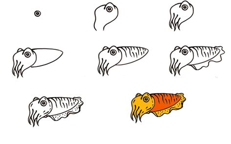 How To Draw A Cuttlefish In Nine Easy Steps 1 Cuttlefish Drawing, Lol Coloring Pages, Lol Coloring, Zigzag Line, 4th Grade Science, Chalk Drawings, Drawing Skills, Reference Images, Make Color