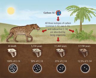 Carbon Dating, Best Casino Games, Fury Road, Play Casino, Speed Dating, Carbon Dioxide, Life Form, Nobel Prize, Best Casino