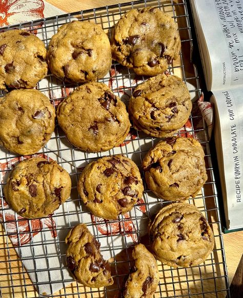 Moist & Delicious Brown Butter Pumpkin Chocolate Chip Cookies (With VIDEO) - Munchies By Mallory Brown Butter Cookies, Brown Butter Chocolate Chip Cookies, Pumpkin Chocolate Chip, Pumpkin Chocolate Chip Cookies, Pumpkin Chocolate Chips, Perfect Cookie, Pumpkin Cookies, Pumpkin Chocolate, Baked Pumpkin