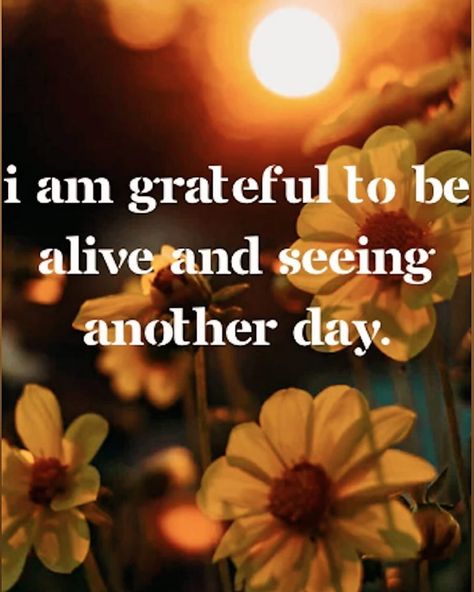 Amen!! I Am Grateful For, Grateful For My Friends, Sunshine Background, Grateful To Be Alive, Background Print, I Am So Grateful, Angel Messages, Daily Reminders, Attitude Of Gratitude