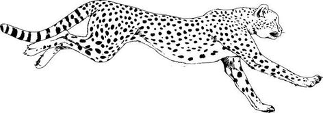 Cheetah Drawings, Wildcat Tattoo, Empowerment Tattoo, Cheetah Drawing, Cheetah Tattoo, Running Tattoo, Corporate Website Design, Unique Butterfly Tattoos, Leopard Tattoos