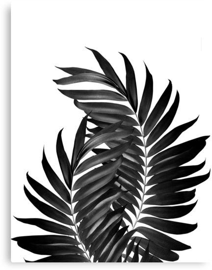 "Palm Leaves Black & White Vibes #5 #tropical #decor #art" Canvas Prints by anitabellajantz | Redbubble Palm Leaves Tattoo, Tropical House Decor, Vintage Tropical Decor, Tropical Chic Decor, Tropical Homes, Tropical Trend, Tropical Interiors, Tropical House Design, Tropical Interior