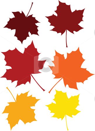 maple leaves Leaf Template Printable, Fall Leaf Template, Quilt Stencils, Printable Paper Patterns, Colors Illustration, Thankful Tree, Painting Pottery, Fall Preschool Activities, Fall Art Projects