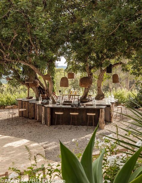 Outdoor Kitchen Around Tree, Bar Around Tree, Stones Around Tree, Table Around Tree, Backyard Table Ideas, Backyard Farm Ideas, Farmstay Design, Tulum Inspired Backyard, Tree In House