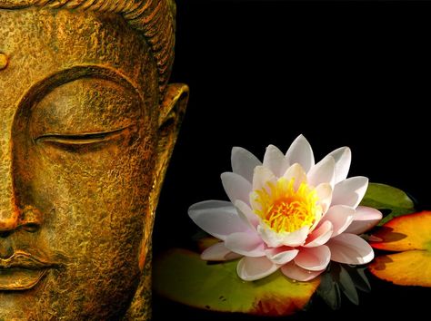 buddha-face-with-lotus-flower-hd-wallpaperClick the link now to find the center in you with our amazing selections of items ranging from yoga apparel to meditation space decor! Wesak Day, Buddha Birthday, Zen Wallpaper, Buddhism Wallpaper, Zen Pictures, Buddha Face, Buddha Zen, Zen Buddhism, Spiritual Cleansing