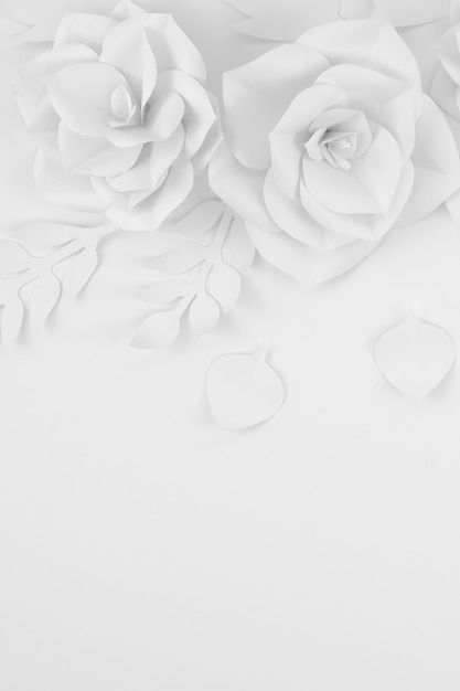 Message Background, Flowery Background, Iphone Wallpaper Lights, Background Pics, Background Images Free Download, Paper Background Design, Beauty Background, Rose Background, Invitation Background