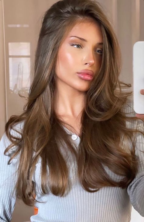 Old Money Brown Balayage, Hair Colour Ideas For Pale Skin Brown Eyes, Solid Honey Brown Hair, Rich Medium Brown Hair, Light Brown Beige Hair, Light Cool Tone Brown Hair, Light Brown Hair Solid Color, Blue Eyes Hair Color, Honey Brunette Balayage