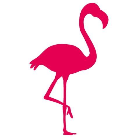 Flamingo Printables, Flamingo Silhouette, Flamingo Svg, Flamingo Craft, Silhouette Cameo Tutorials, Free Svg Files, Svg For Cricut, Cricut Tutorials, Free Svg Cut Files