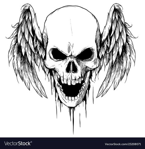 Skull With Wings Tattoo, Draw Skull, Skull With Wings, Draw Tattoo, Tattoo Vector, Wings Tattoo, Transparent Png, Png Images, To Draw