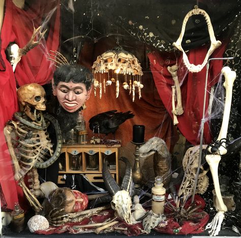 Halloween Shop Window, Halloween Display Ideas, Taxidermy Oddities, Halloween Window Display, Halloween Window Decorations, Halloween Window, Shop Displays, Window Decorations, Halloween Displays